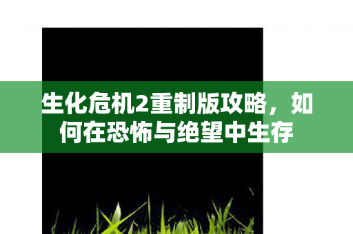 生化危机2重制版攻略,如何在恐怖与绝望中生存 生化危机2重制版攻略,如何在恐怖与绝望中生存