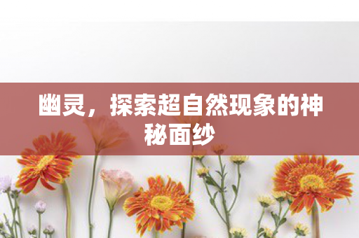 幽灵,探索超自然现象的神秘面纱 幽灵,探索超自然现象的神秘面纱