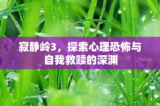 寂静岭3，探索心理恐怖与自我救赎的深渊