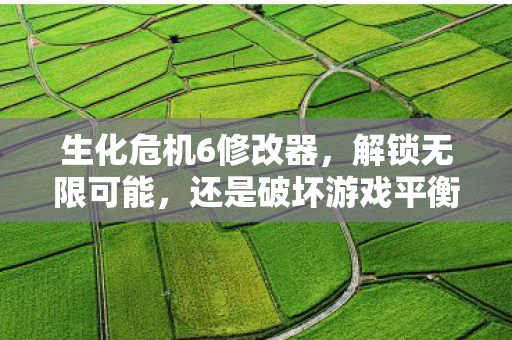 生化危机6修改器，解锁无限可能，还是破坏游戏平衡？