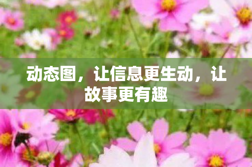 动态图，让信息更生动，让故事更有趣