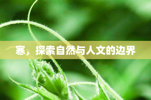 寒，探索自然与人文的边界