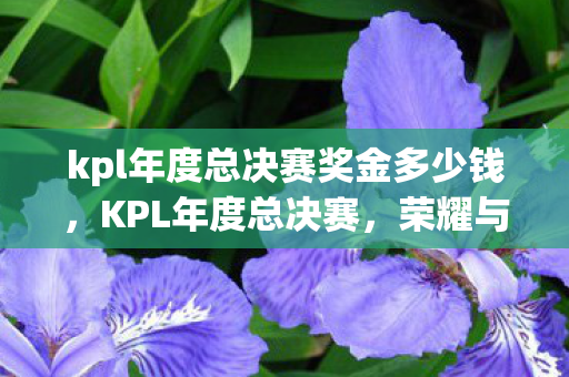 kpl年度总决赛奖金多少钱,KPL年度总决赛,荣耀与梦想的巅峰对决 kpl年度总决赛奖金多少钱,KPL年度总决赛,荣耀与梦想的巅峰对决