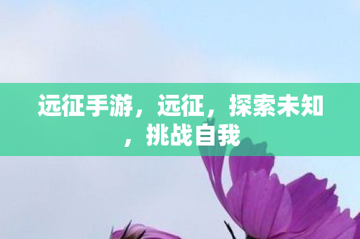 远征手游，远征，探索未知，挑战自我