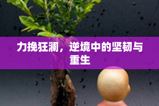 力挽狂澜，逆境中的坚韧与重生