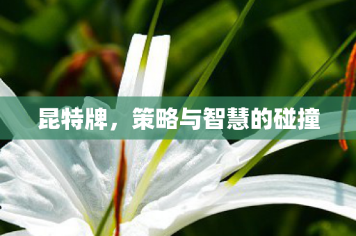 昆特牌，策略与智慧的碰撞