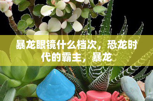 暴龙眼镜什么档次，恐龙时代的霸主，暴龙