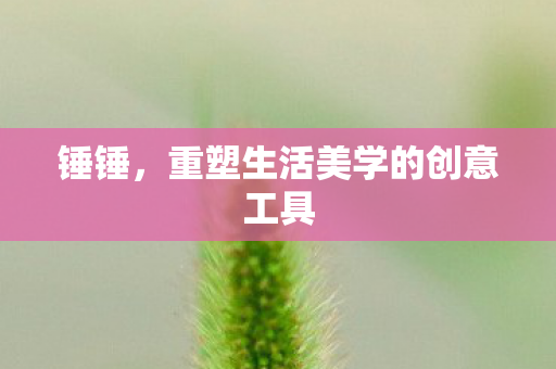 锤锤，重塑生活美学的创意工具