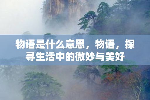 物语是什么意思，物语，探寻生活中的微妙与美好
