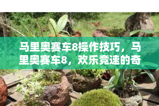 马里奥赛车8操作技巧，马里奥赛车8，欢乐竞速的奇幻之旅