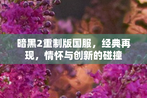 暗黑2重制版国服，经典再现，情怀与创新的碰撞