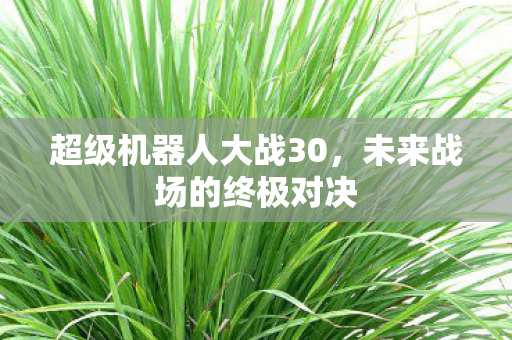 超级机器人大战30，未来战场的终极对决