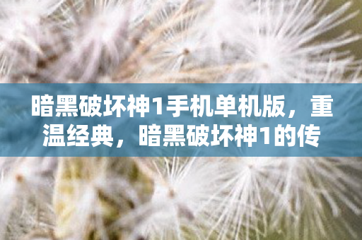 暗黑破坏神1手机单机版，重温经典，暗黑破坏神1的传奇之旅
