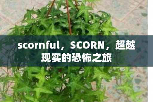scornful,SCORN,超越现实的恐怖之旅 scornful,SCORN,超越现实的恐怖之旅