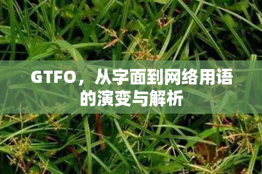 GTFO，从字面到网络用语的演变与解析