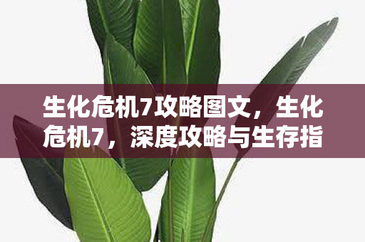 生化危机7攻略图文，生化危机7，深度攻略与生存指南