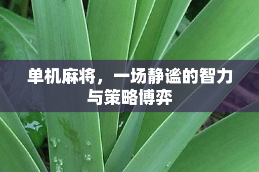 单机麻将，一场静谧的智力与策略博弈