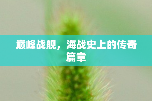 巅峰战舰，海战史上的传奇篇章