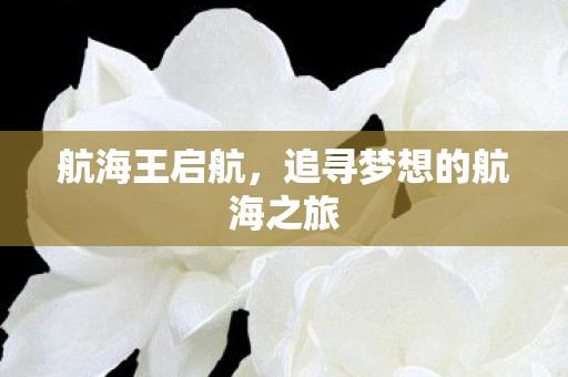 航海王启航,追寻梦想的航海之旅 航海王启航,追寻梦想的航海之旅