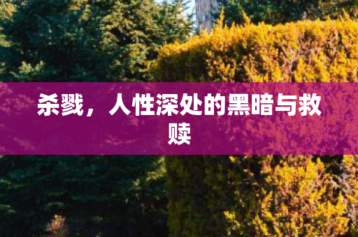 杀戮，人性深处的黑暗与救赎