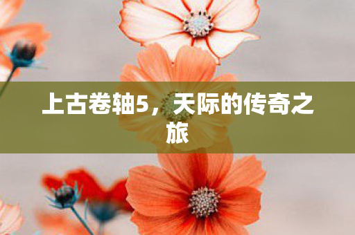 上古卷轴5，天际的传奇之旅