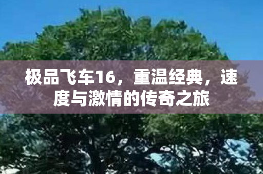 极品飞车16，重温经典，速度与激情的传奇之旅