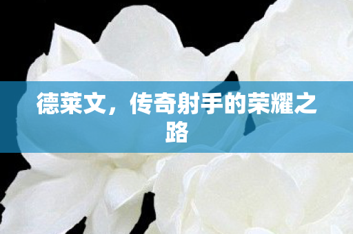 德莱文，传奇射手的荣耀之路