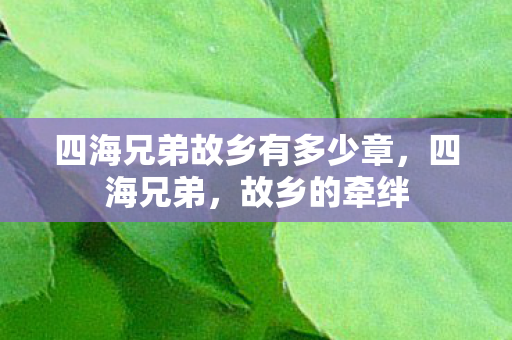 四海兄弟故乡有多少章，四海兄弟，故乡的牵绊