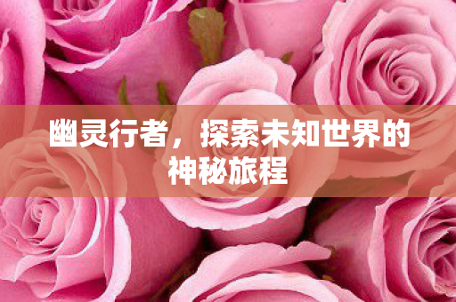 幽灵行者，探索未知世界的神秘旅程