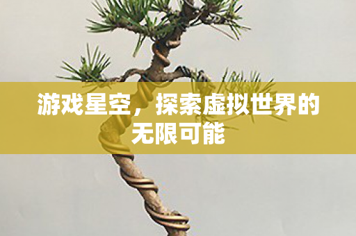 游戏星空，探索虚拟世界的无限可能