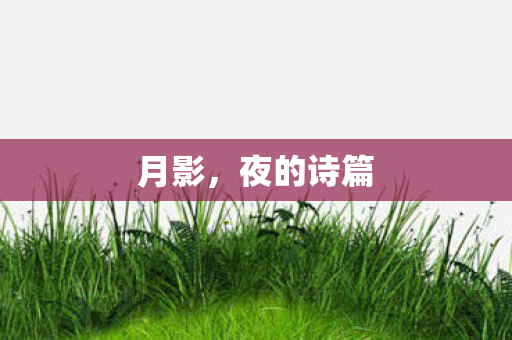 月影，夜的诗篇