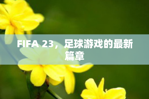 FIFA 23，足球游戏的最新篇章
