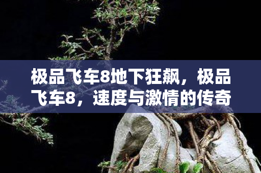 极品飞车8地下狂飙,极品飞车8,速度与激情的传奇 极品飞车8地下狂飙,极品飞车8,速度与激情的传奇