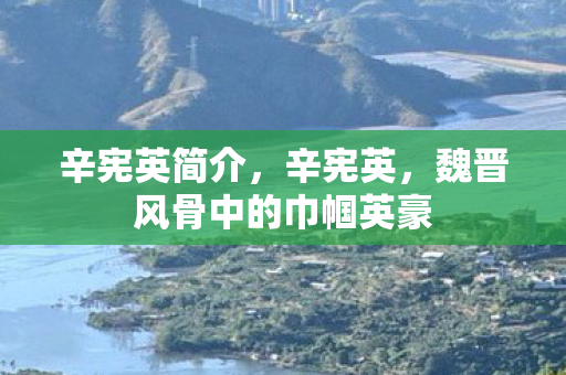 辛宪英简介，辛宪英，魏晋风骨中的巾帼英豪