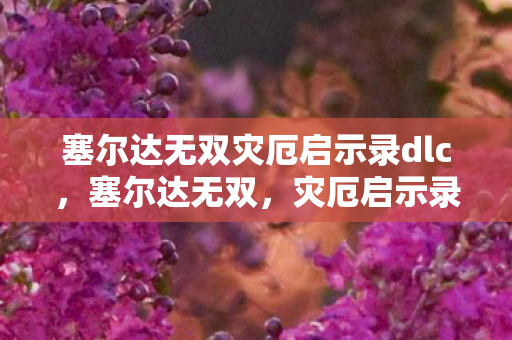 塞尔达无双灾厄启示录dlc，塞尔达无双，灾厄启示录——一场跨越时空的冒险