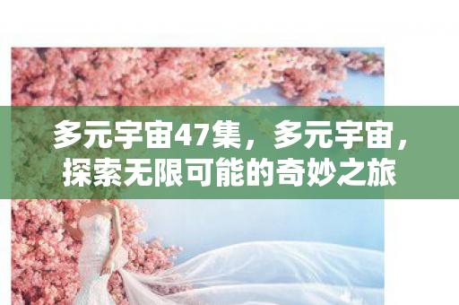 多元宇宙47集，多元宇宙，探索无限可能的奇妙之旅