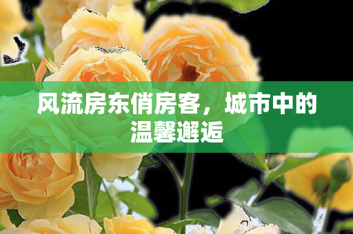 风流房东俏房客，城市中的温馨邂逅