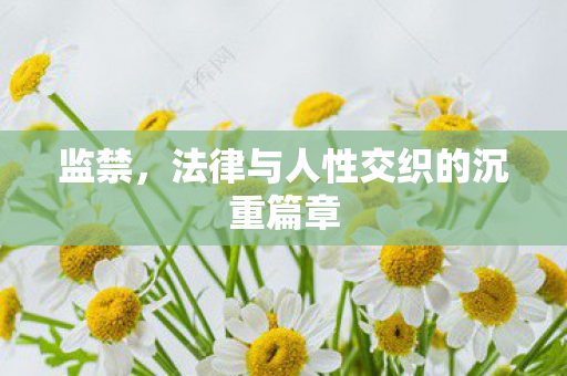 监禁,法律与人性交织的沉重篇章 监禁,法律与人性交织的沉重篇章