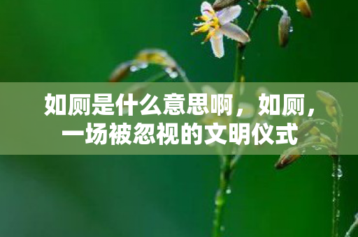 如厕是什么意思啊，如厕，一场被忽视的文明仪式