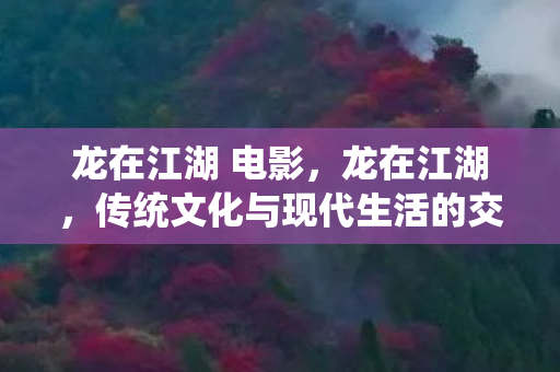 龙在江湖 电影，龙在江湖，传统文化与现代生活的交融