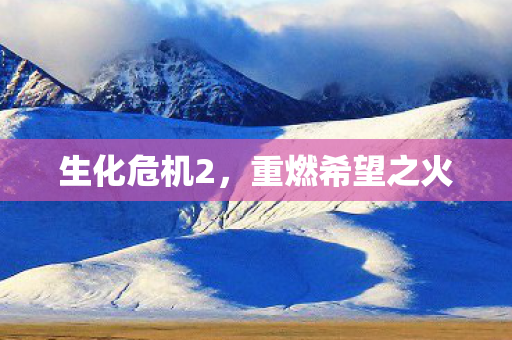 生化危机2，重燃希望之火