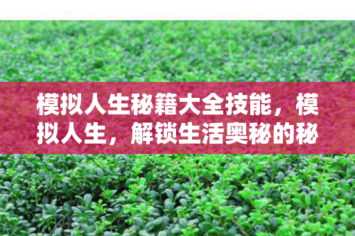 模拟人生秘籍大全技能，模拟人生，解锁生活奥秘的秘籍