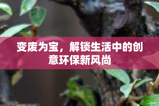 变废为宝，解锁生活中的创意环保新风尚