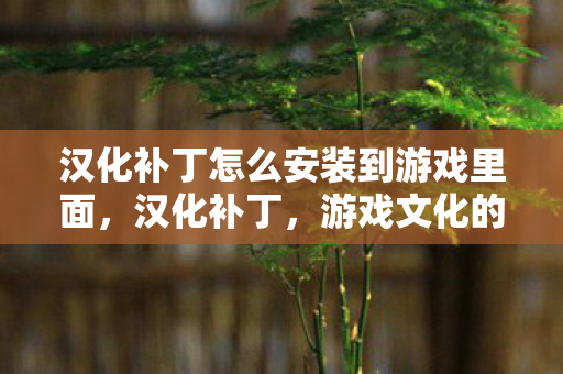汉化补丁怎么安装到游戏里面，汉化补丁，游戏文化的桥梁还是侵权的阴影？