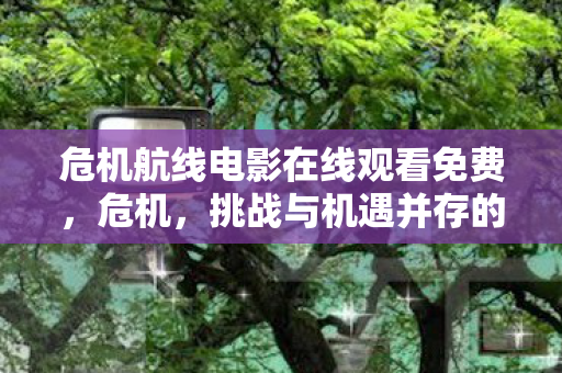 危机航线电影在线观看免费，危机，挑战与机遇并存的时代
