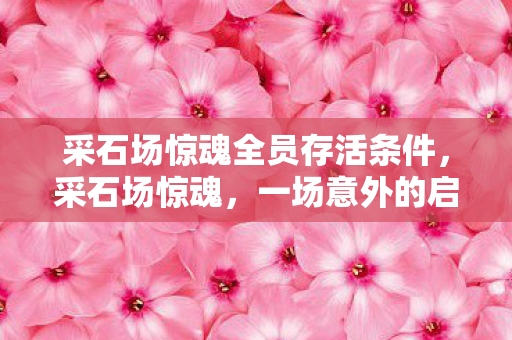 采石场惊魂全员存活条件，采石场惊魂，一场意外的启示