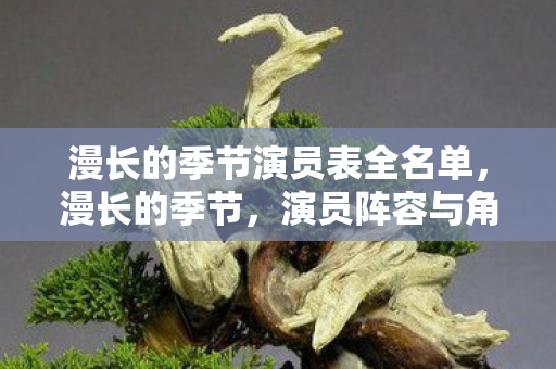 漫长的季节演员表全名单，漫长的季节，演员阵容与角色解析