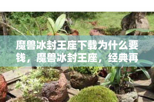 魔兽冰封王座下载为什么要钱,魔兽冰封王座,经典再现,情怀与技术的碰撞 魔兽冰封王座下载为什么要钱,魔兽冰封王座,经典再现,情怀与技术的碰撞