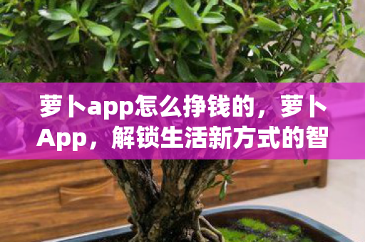 萝卜app怎么挣钱的，萝卜App，解锁生活新方式的智能助手