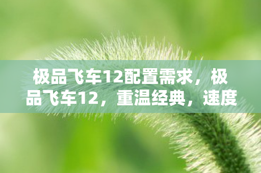 极品飞车12配置需求，极品飞车12，重温经典，速度与激情的传奇